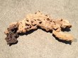 Mopani Aquarium Root Wood XXLarge (3)