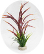 Atoll Grass Aquarium Plant 40cm