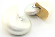 Polished Sea Shell Nautilus Pearl Small