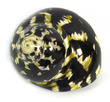 Polished Sea Shell Turbo Pica Black/White Medium