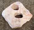 Rainbow Stone 2 Holes