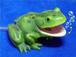 Action Aquarium Bubblers Frog