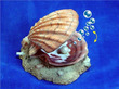 Action Aquarium Bubblers Orange Shell