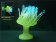 Glowing Effect Torch Anemone Blue