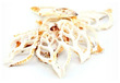 Sliced Sea Shell Bursa Spinosa White and Light Brown 20 pack