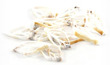 Sliced Sea Shell Canarium Tan 20 pack