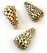 Sea Shell Cones Marble Small