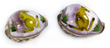 Sea Shell Cowries Embossed Kangaroo Medium