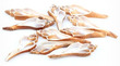 Sliced Sea Shell Fusus Medium Brown 20 pack
