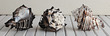Polished Sea Shell Murex Black Nigritus Large