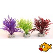 Sydeco Water Fern Aquarium Plant Medium - 15cm