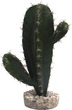 Sydeco Aquarium Plant Cactus Medium