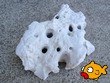 White Holey Rock 