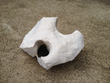 White Holey Rock 