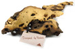 Mopani Aquarium Drift Wood Medium