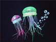 Glowing Effect Jellyfish Green and Red