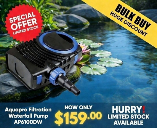 Home Page Specials Banner