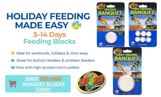 Home Page Sale Banner