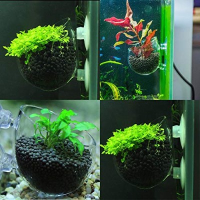 GANAZONO 8 Pcs Aquarium Clear Plant Cup Pot Decor Fish Tank Aquatic Planter Acrylic Glass Holder Cups with Suction Transparent Shelf for 