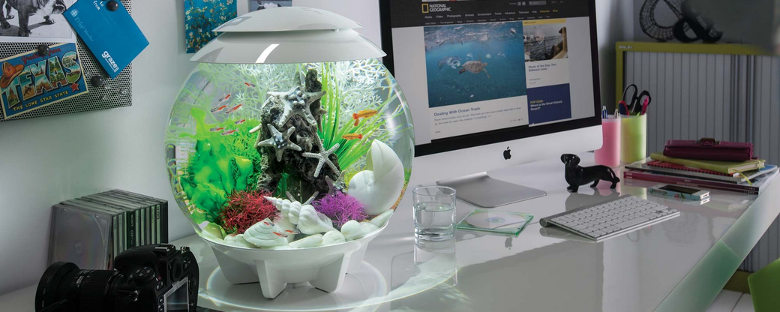 product image header