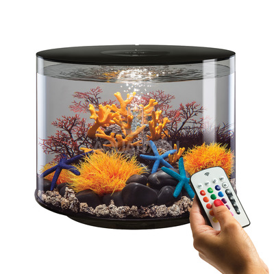 Biorb Tube 35l Aquarium Mcr Black The Aquarium Shop Australia
