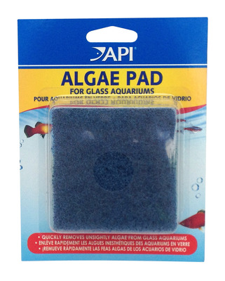 API Hand Held Algae Cleaning Pad