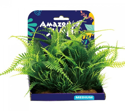 Amazon Jungle Amazon Fern Display 15cm Medium