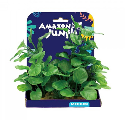 Amazon Jungle Anubius Display 15cm Medium