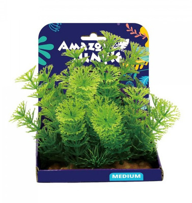 Amazon Jungle Cabomba Display 15cm Medium