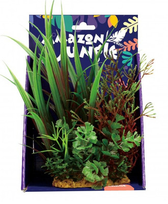 Amazon Jungle Mixed Variety Display 20cm Large