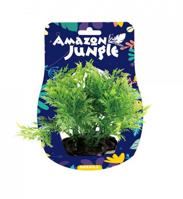 Amazon Jungle Wisteria Grass Display 10-12cm Small