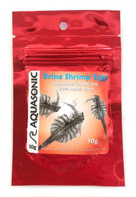 GSL Brine Shrimp Eggs 10g