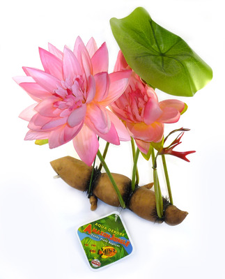Aqua Dekore Underwater Pink Lilly Plant Large