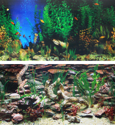 animated aquarium wallpaper. animated aquarium wallpaper