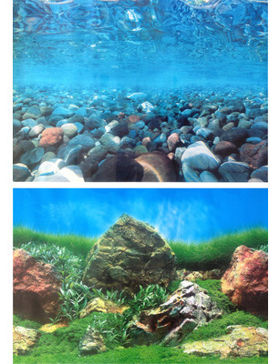 Aquarium Background Double Sided 60cm high - Egg Stone/Glassland