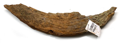 Bioscape Aquarium Drift Wood Large Piece