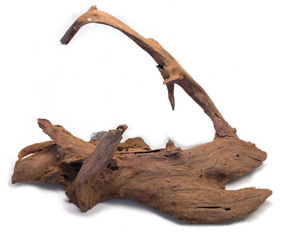 Bioscape Aquarium Drift Wood XLarge Piece