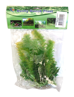 Bushy Bunch Plant 6 inch