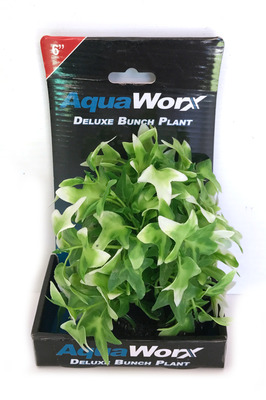 Deluxe Bunch Plant 6inch Green-white leafy bush