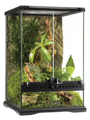 Exo Terra All Glass Mini Tall Terrarium 30 x 30 x 45cm