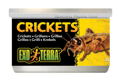 Exo Terra Canned Crickets 34g