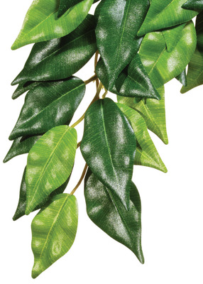 Exo Terra Forest Silk Plant Ficus Large 60cm