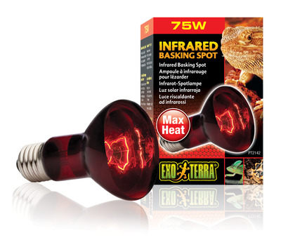 Exo Terra Heat Glo Infrared Heat Lamp R20 75watt