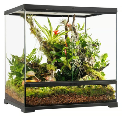 Exo Terra PRO Glass Terrarium Medium Tall 60 x 45 x 60cm