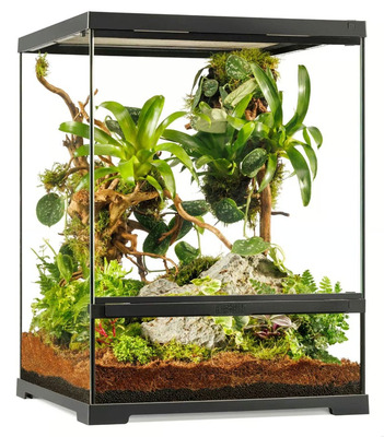Exo Terra PRO Glass Terrarium Small Tall 45 x 45 x 60cm