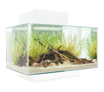 Fluval EDGE 2.0 Aquarium 23L White