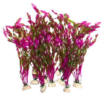 GLF Sea Grass Aquarium Plant Lime-Red 30cm pack of 10