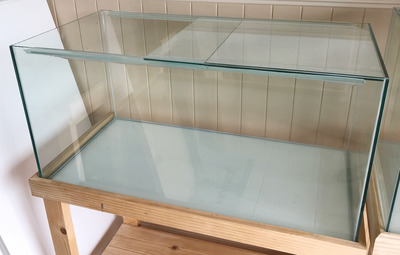 36x18 fish tank