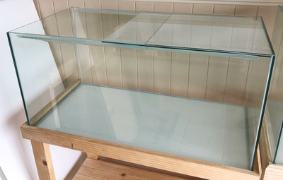 Standard Glass Aquarium 36 x 18 x 18inches high Tank only