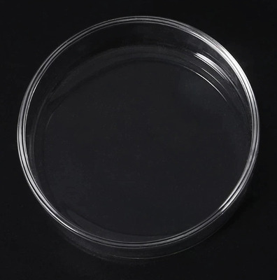 Glass Shrimp Feeding Dish